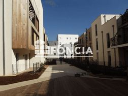 Photo n°6
