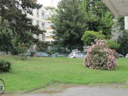 Photo n°8
