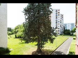 Photo n°1