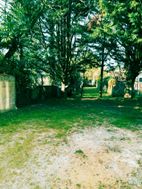 Photo n°5