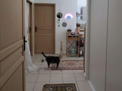 Photo n°2