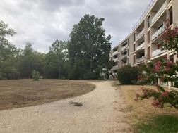 Photo n°1