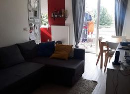 Photo n°3