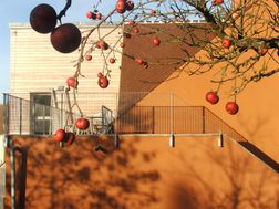Photo n°1