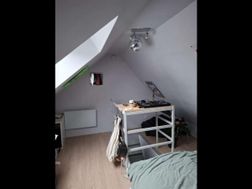 Photo n°5