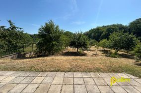 Photo n°4