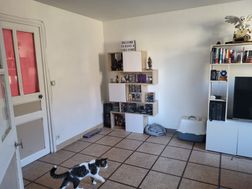 Photo n°4