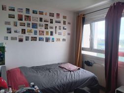Photo n°5