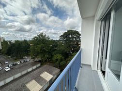 Photo n°3