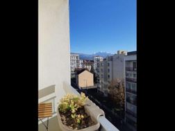 Photo n°15