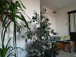 Photo n°1