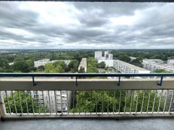 Photo n°5