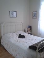 Photo n°3