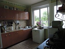 Photo n°5