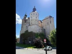 Photo n°8