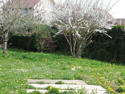 Photo n°4