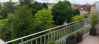 Photo n°6
