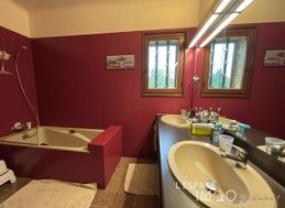 Photo n°10