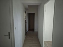 Photo n°3