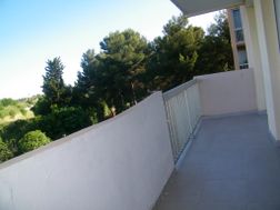 Photo n°6