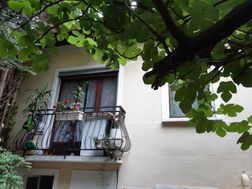Photo n°8