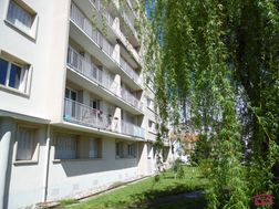 Photo n°5