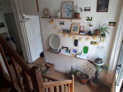 Photo n°5