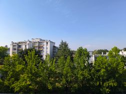 Photo n°8