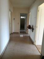 Photo n°6