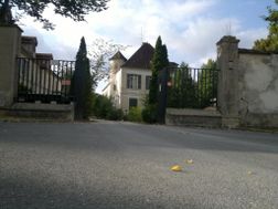 Photo n°1