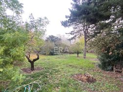 Photo n°3