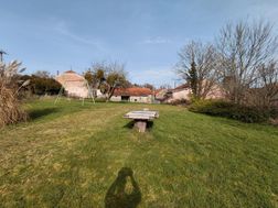 Photo n°4