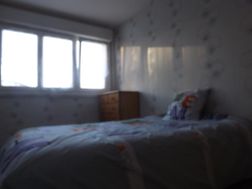 Photo n°1