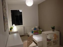 Photo n°3