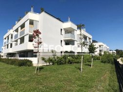 Photo n°3
