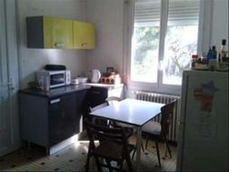 Photo n°4