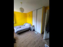 Photo n°4
