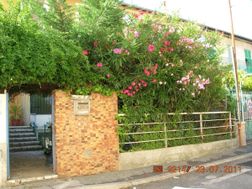 Photo n°1