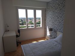 Photo n°2