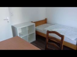 Photo n°2