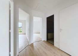 Photo n°6