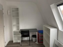 Photo n°4