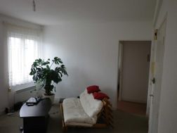 Photo n°1