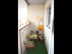 Photo n°5
