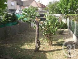 Photo n°7