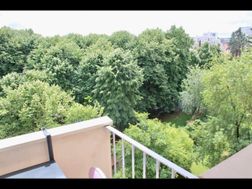 Photo n°3