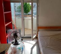 Photo n°5