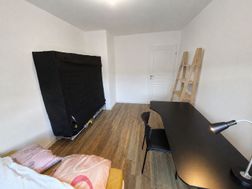 Photo n°6