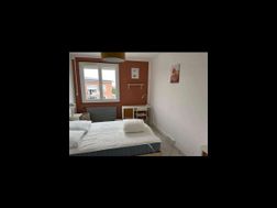 Photo n°2