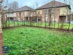 Photo n°4